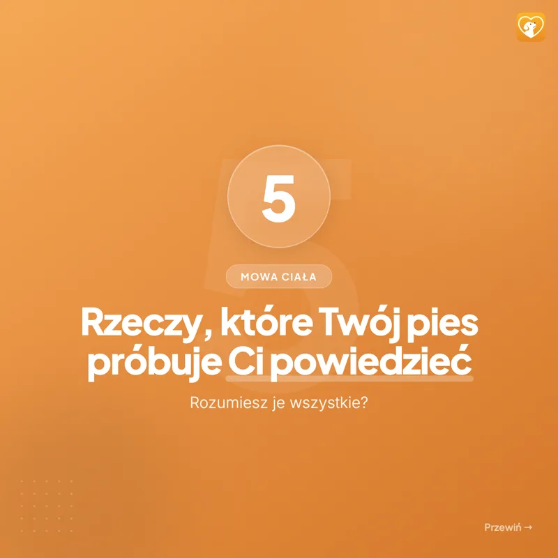@merdiloapp: 5 rzeczy o psim zachowaniu