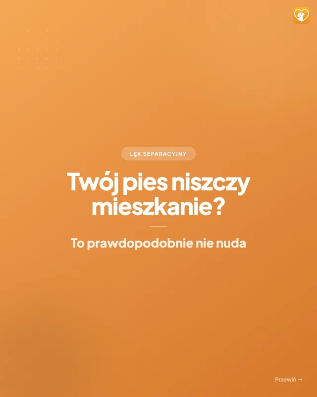 @merdiloapp: 8 oznak lęku separacyjnego