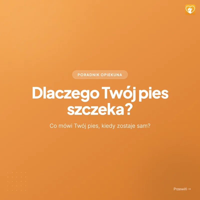 @merdiloapp: dlaczego pies szczeka